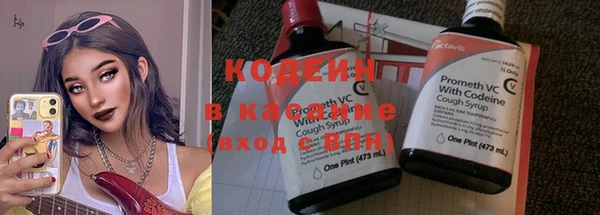 дживик Бронницы