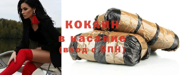 дживик Бронницы