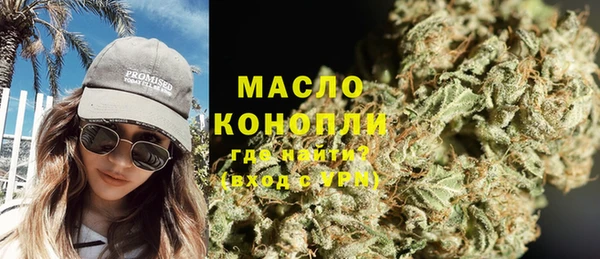 дживик Бронницы