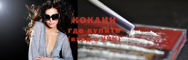 дживик Бронницы
