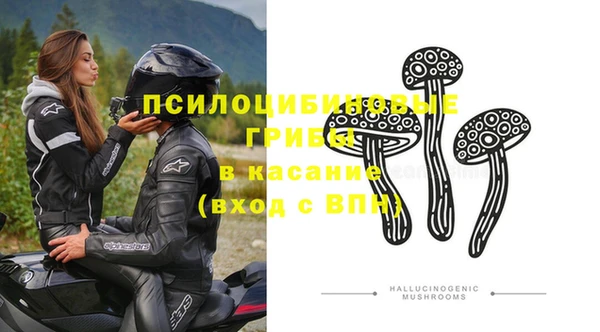 дживик Бронницы