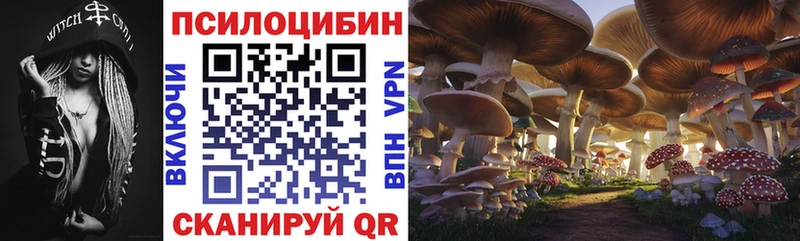 Галлюциногенные грибы GOLDEN TEACHER Прокопьевск
